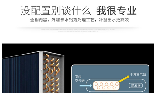 高效除濕型除濕機(jī)